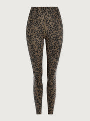 Brown Contrast Cheetah