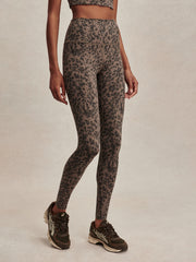 Brown Contrast Cheetah